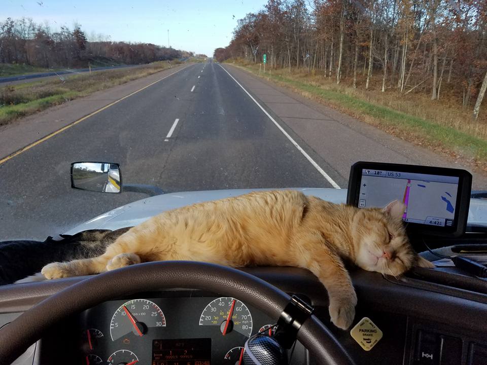 Lonesome Truck Driver Adopts Feline Friend To Keep Him Company