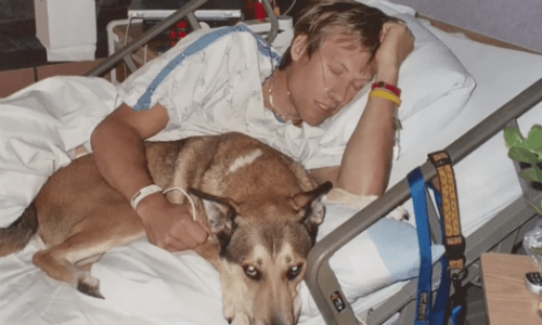 Adventure Photographer Ends Up In A Hospital Bed And His Husky Wouldn’t Leave Him Alone