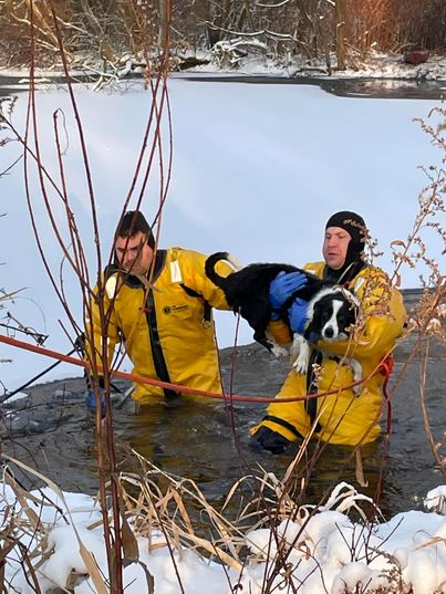 New York firefighters rescue a dog stranded on a frozen pond.
