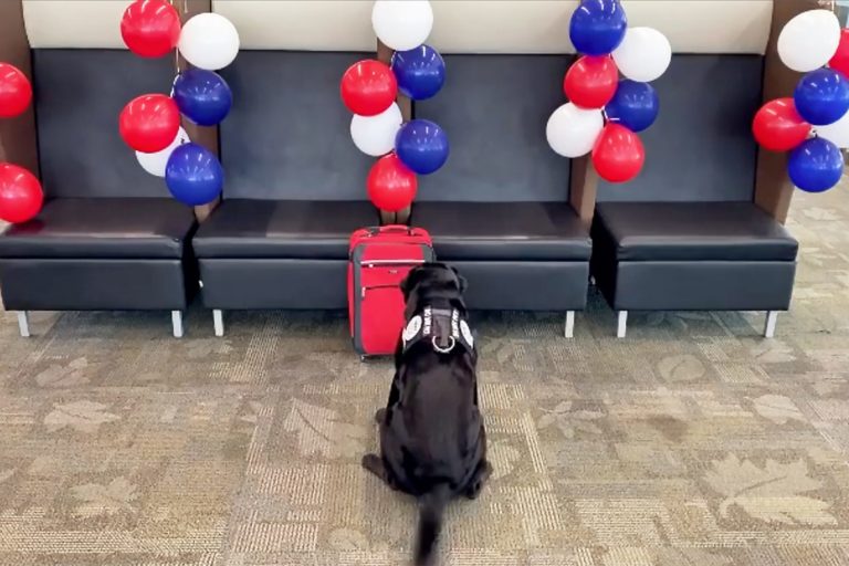 See how airport detection dog gets the send-off of every pup’s dreams