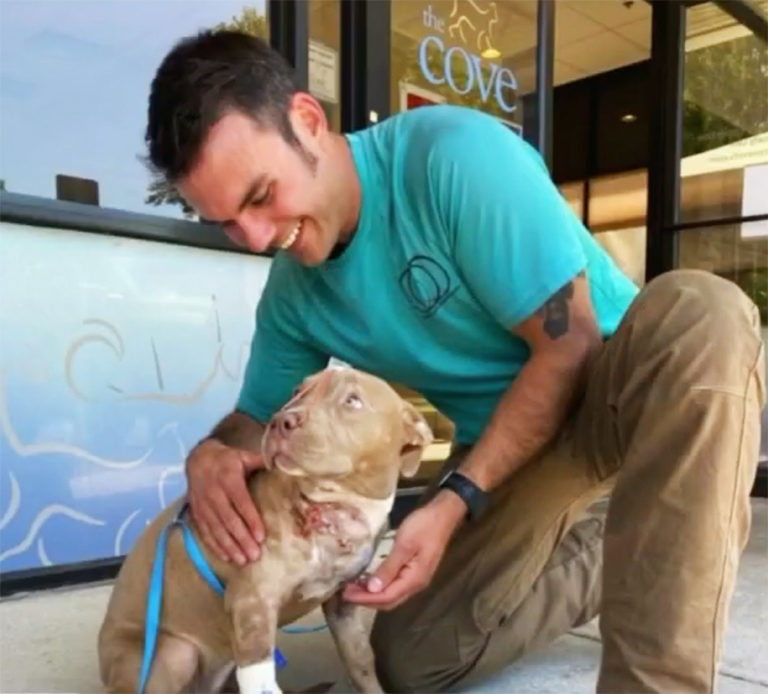 ‘The most loving’ pit bull puppy adopted after 7 stab wounds rescues Virginia man
