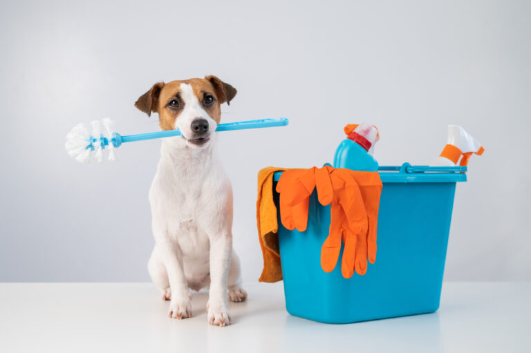7 Amazing Cleaning Tips All Pet Owners Should Know