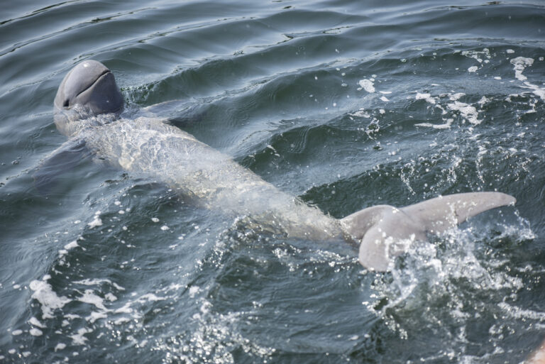 7 Perfectly-Timed Photos Proving The Power of Mother Nature