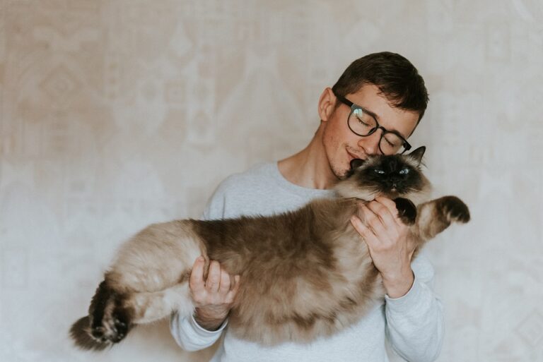 8 Surprising Signs Your Cat Actually Likes You