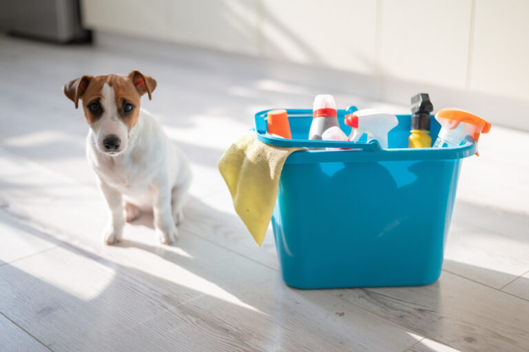 Warning: These Cleaning Products Are TOXIC for Your Pets!