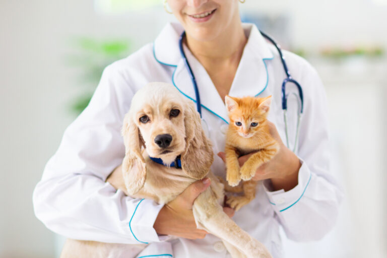 12 Pet Products Vets Would Never Buy