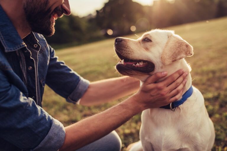 How Well Do You Know Your Dog? Find Out With This Quiz!