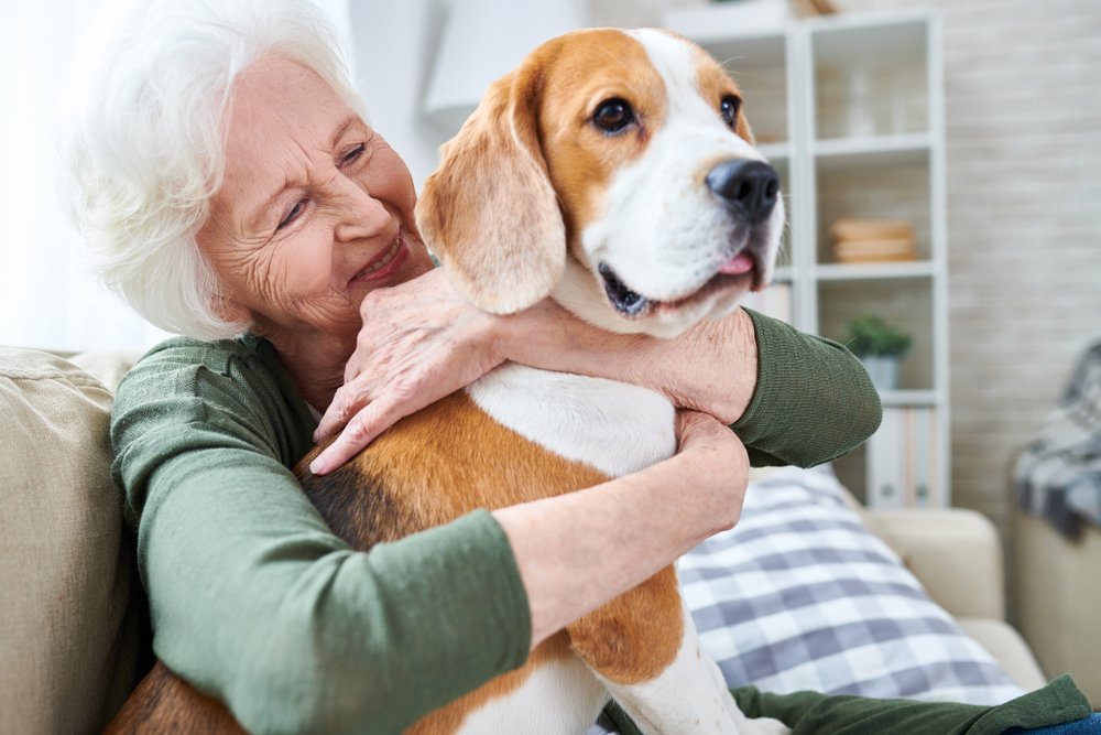 therapy dogs for seniors