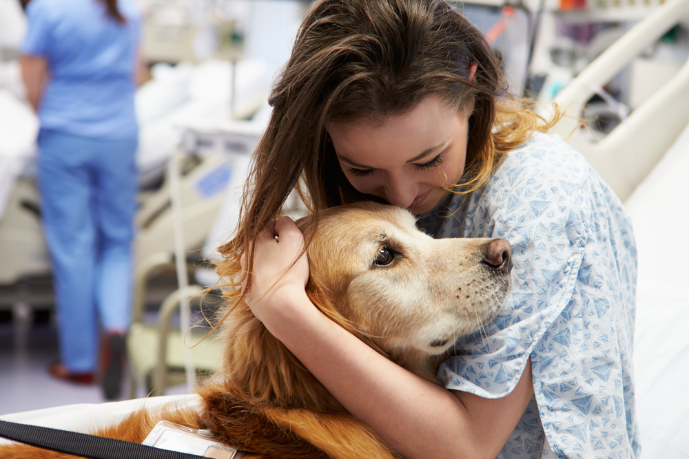 best therapy dogs for seniors