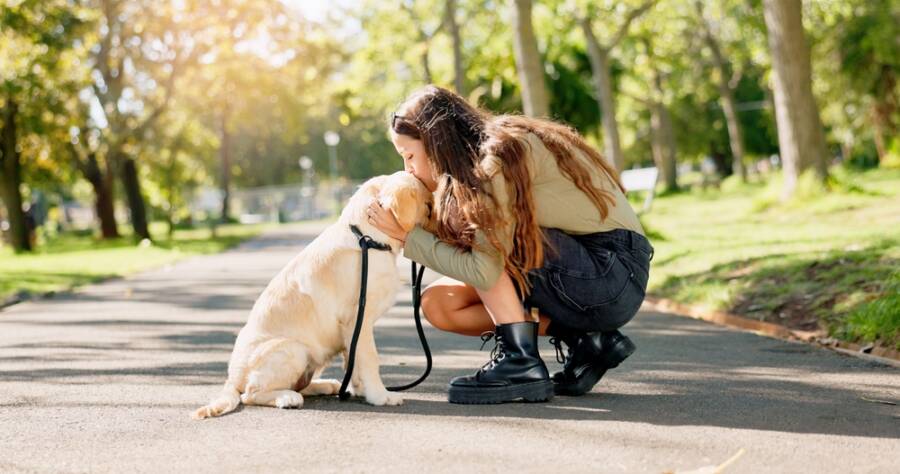 Why Do Random Dogs Like You? 11 Possible Reasons