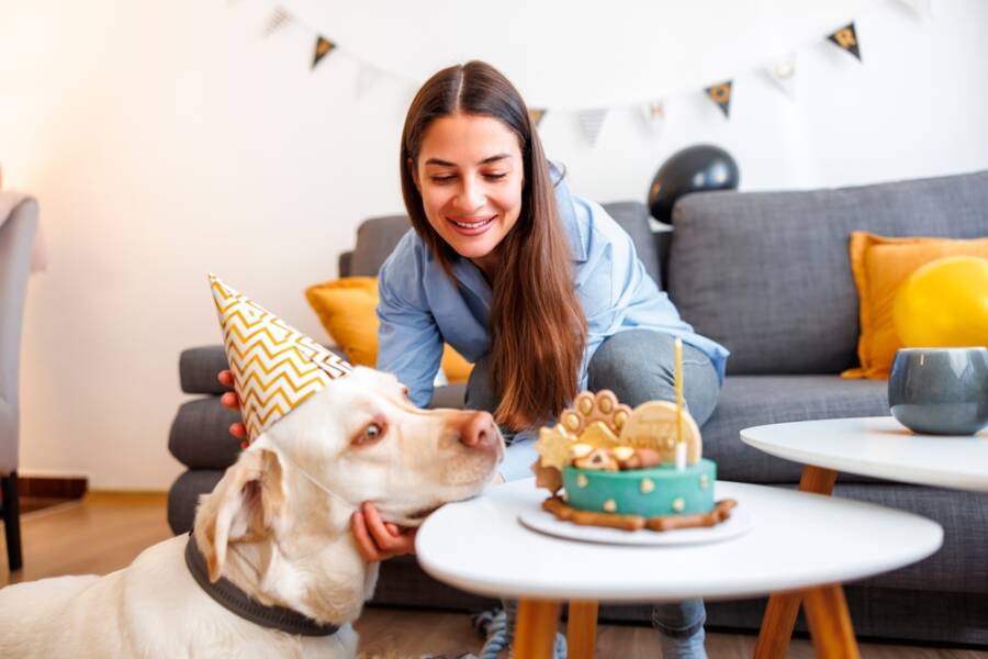 ways to celebrate your dog's birthday