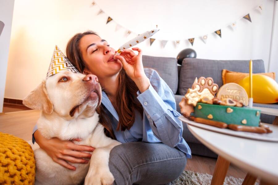 ways to celebrate your dog's birthday