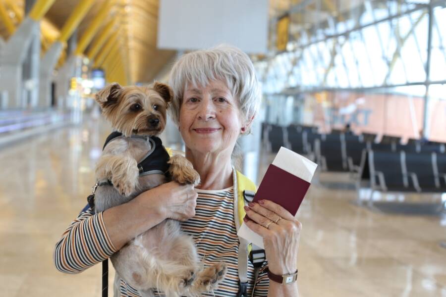 Pet-Friendly Airlines