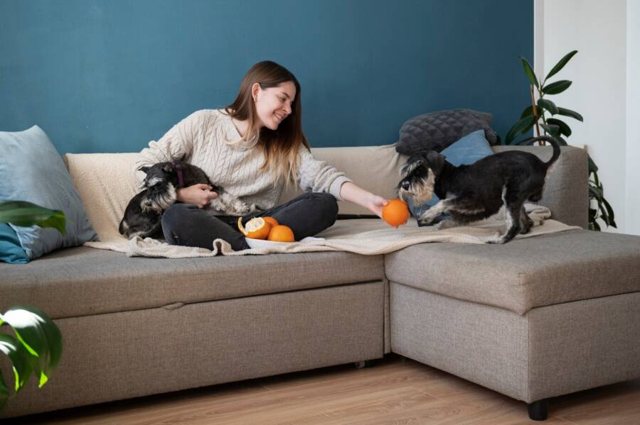 Renting with Pets