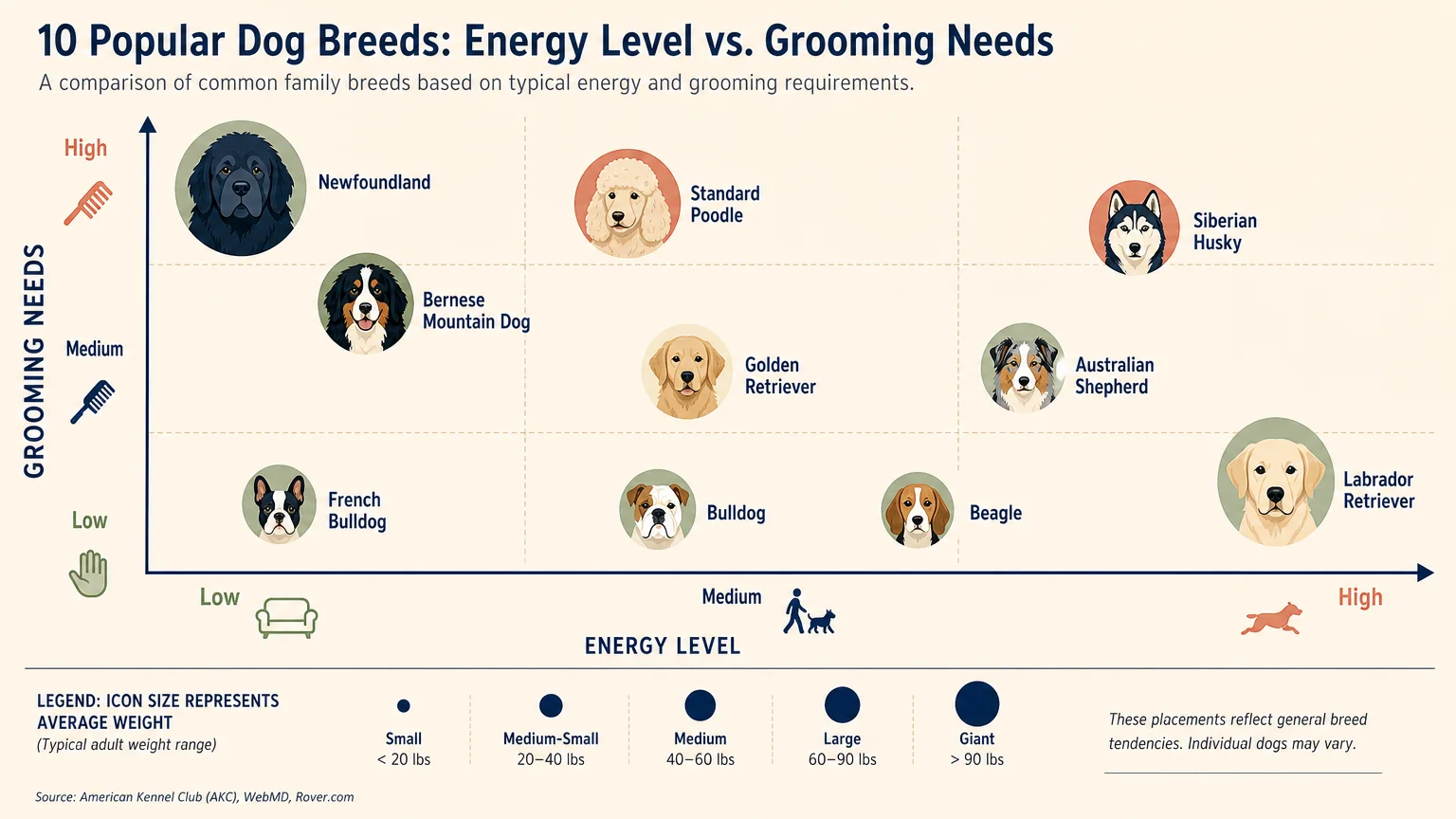 A comparison chart showing the energy levels and grooming needs of the 10 friendliest dog breeds.