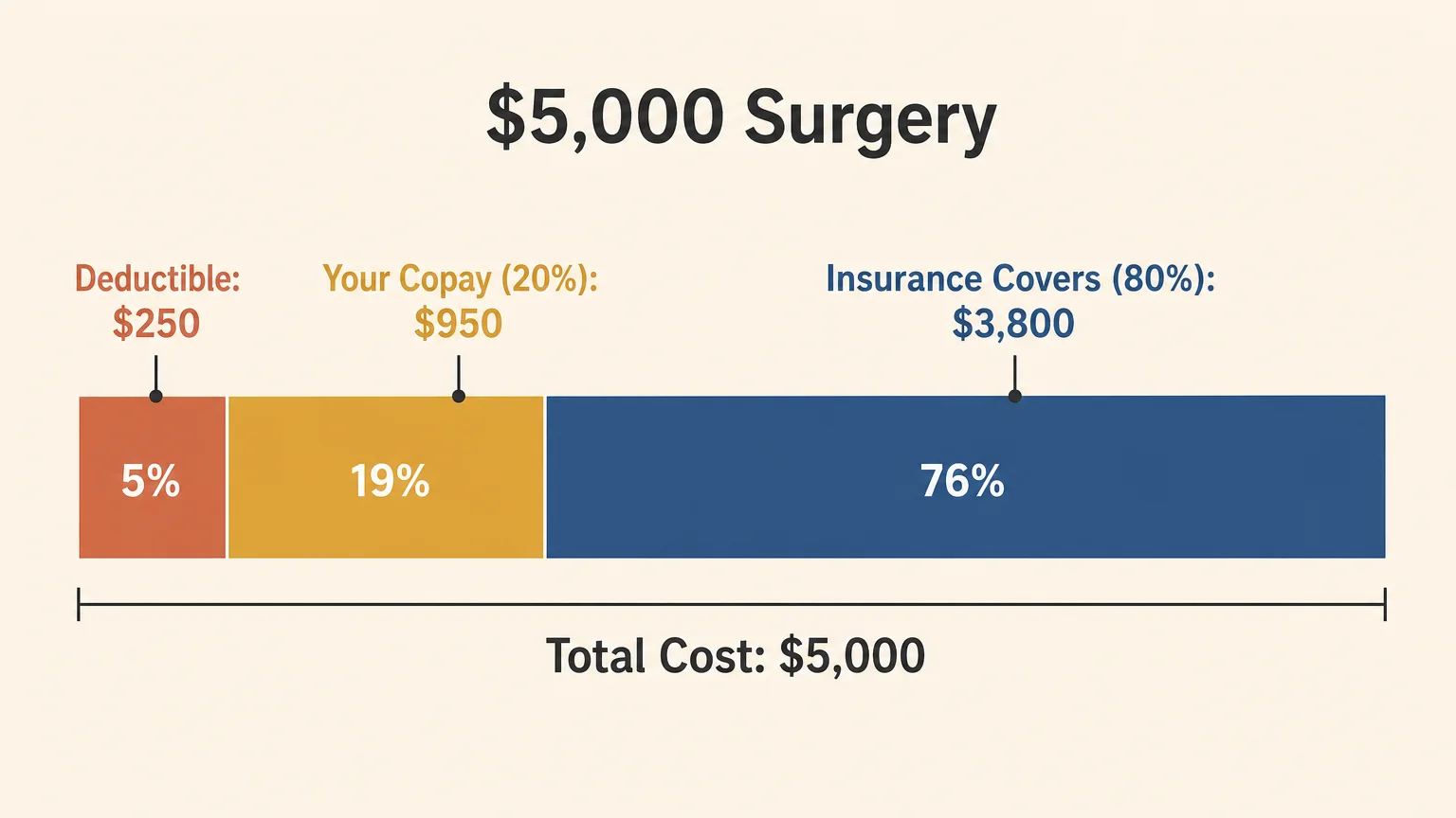 A horizontal bar chart showing the cost breakdown of a five thousand dollar veterinary surgery.