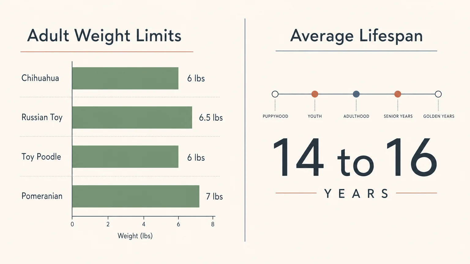 A minimalist horizontal chart comparing adult weight limits and average lifespans of small dog breeds.