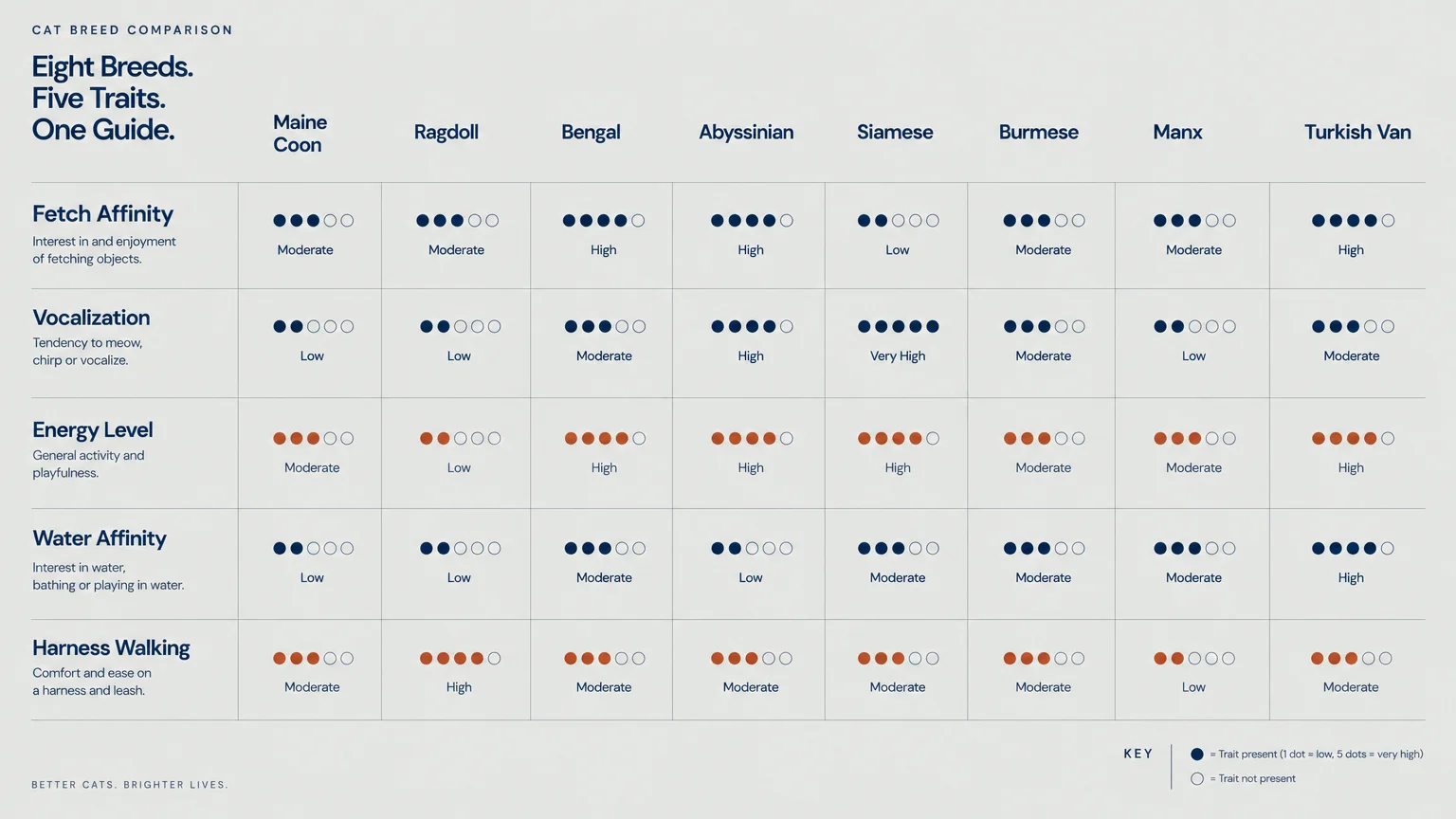 Chart comparing eight cat breeds across five traits: fetch affinity, vocalization, energy level, water affinity, and harness walking.