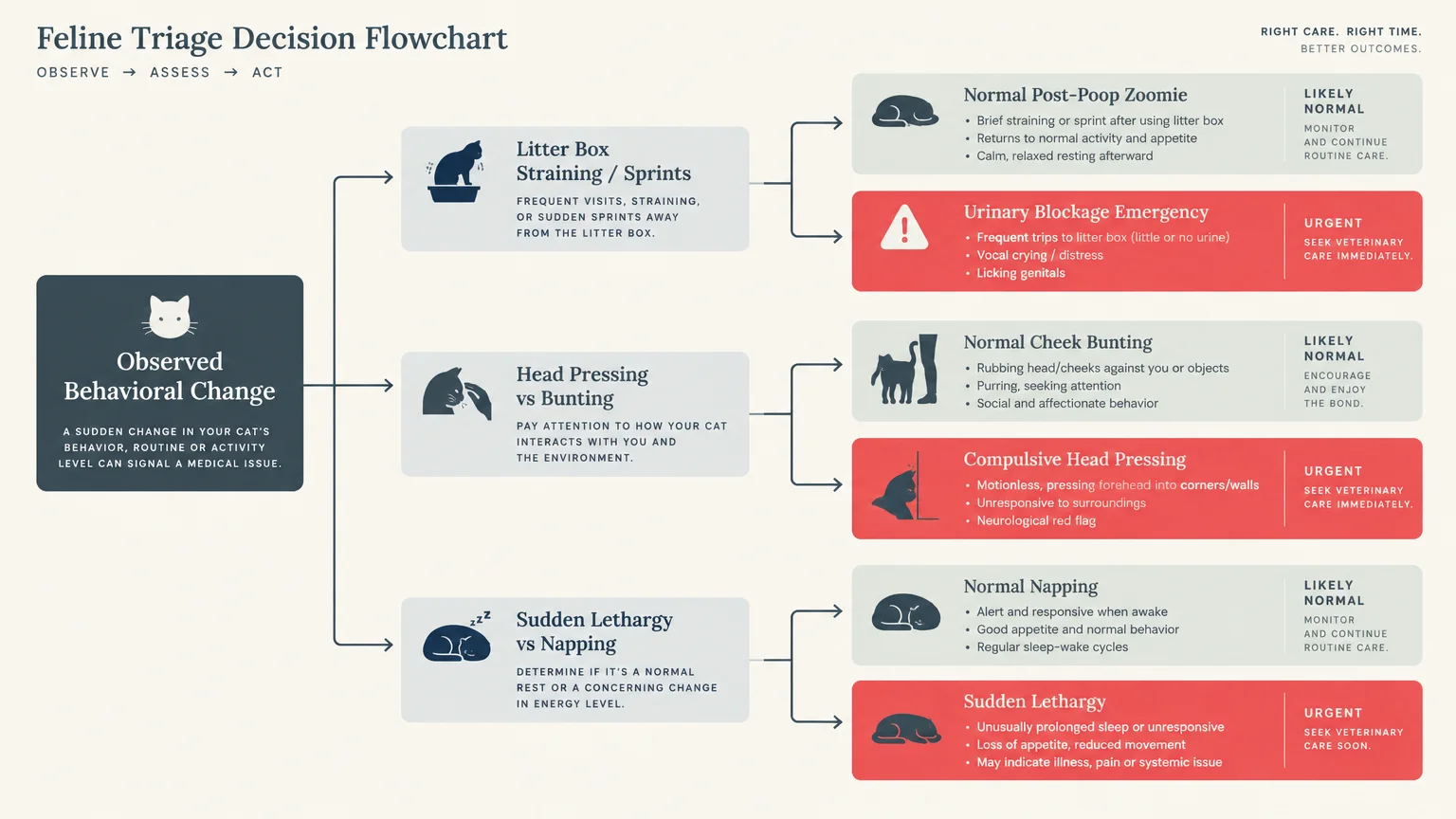 Feline Triage Decision Flowchart classifying litter box straining, head pressing, and sudden lethargy into normal or urgent.