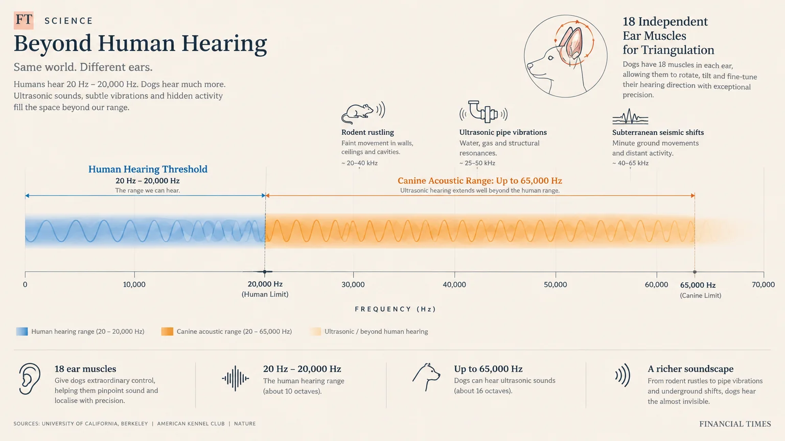 Diagram comparing human hearing range up to 20,000 Hz with canine hearing range reaching 65,000 Hz.