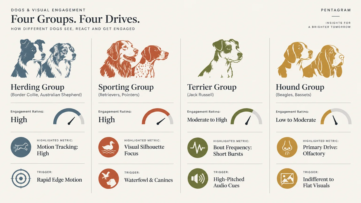 Infographic detailing engagement ratings, metrics, and screen triggers across herding, sporting, terrier, and hound dog groups.