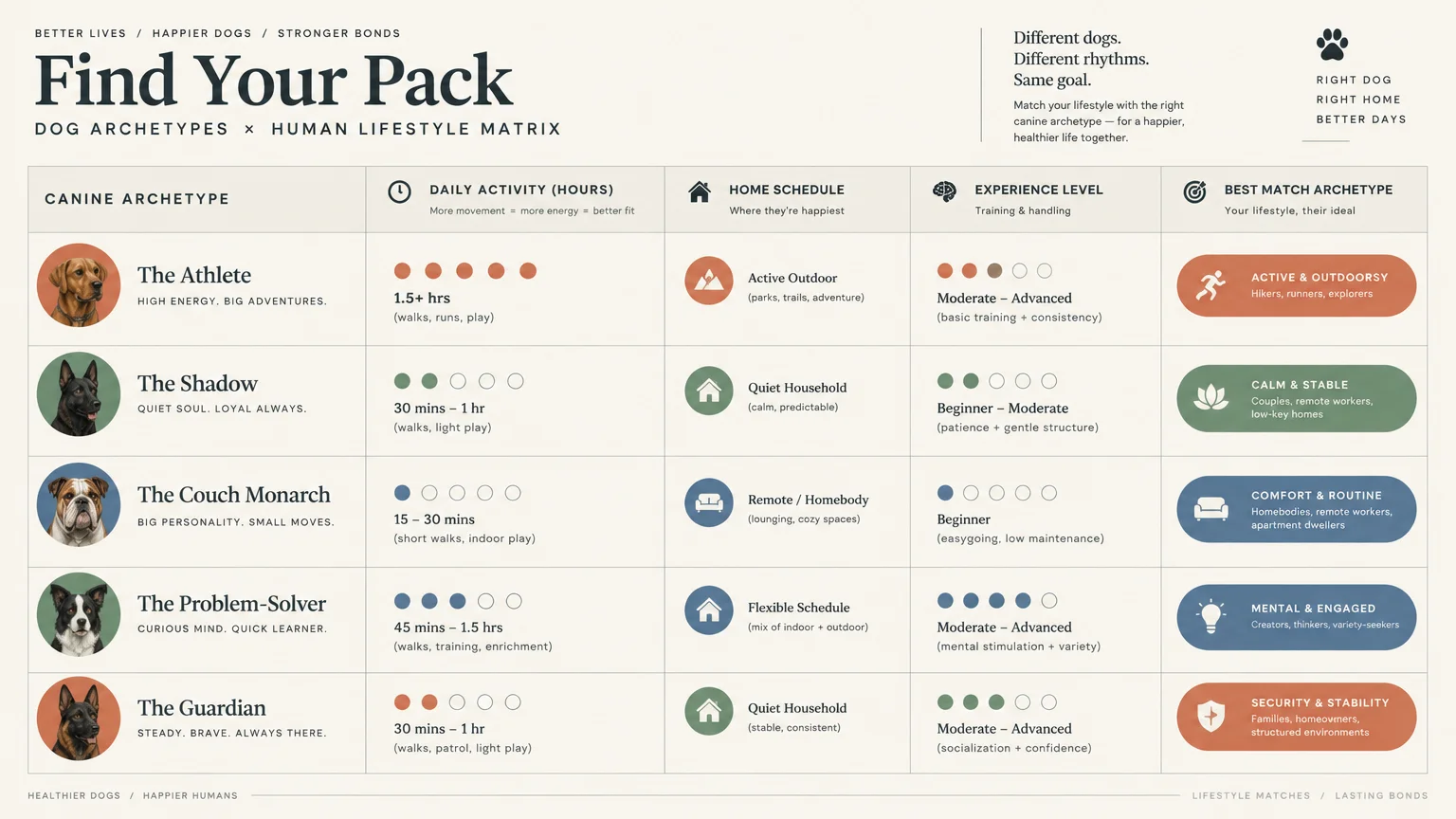 Chart titled Find Your Pack comparing five dog archetypes across activity levels, home schedules, and owner matches.
