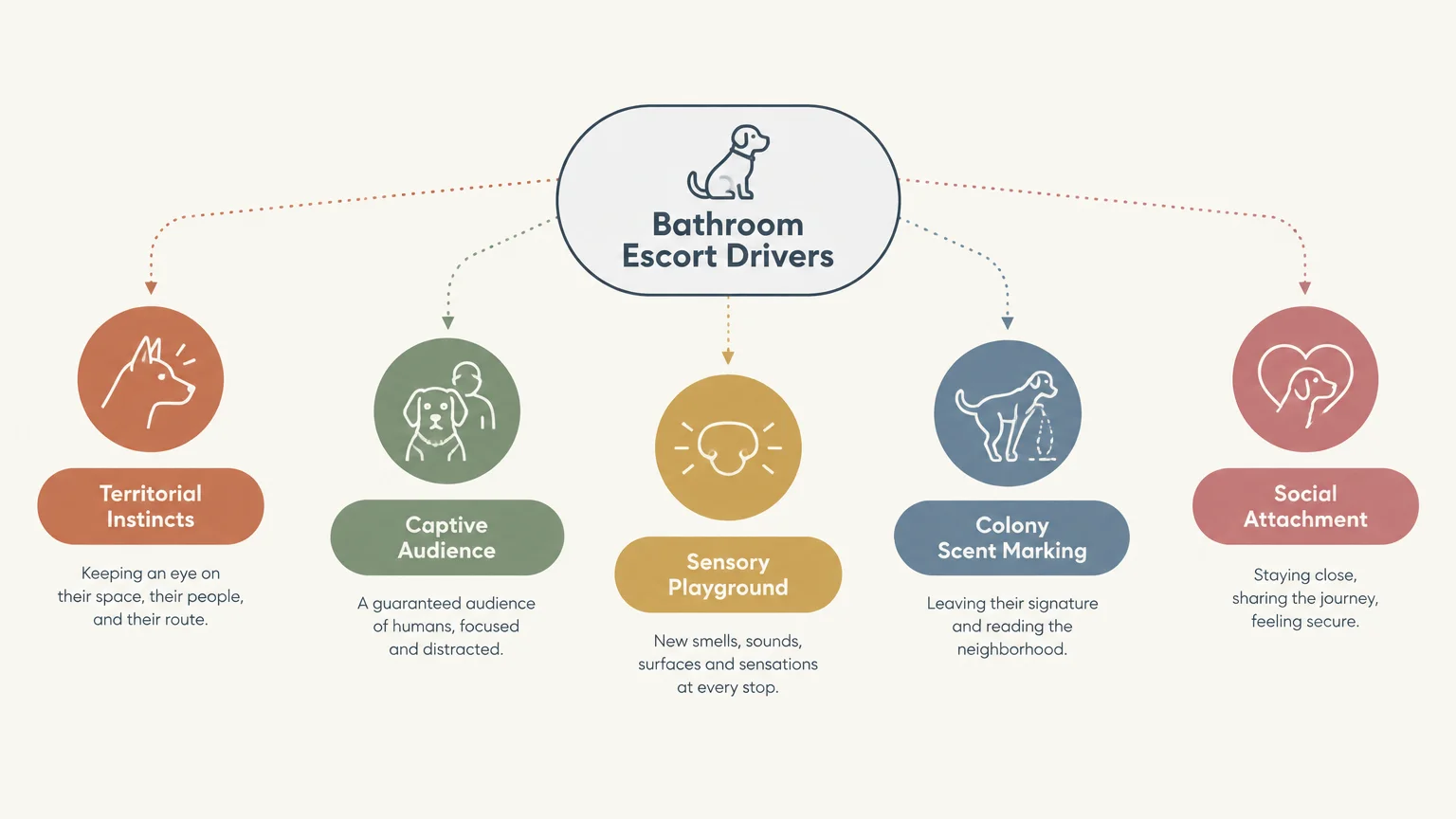 Diagram of bathroom escort drivers showing five dog icons labeled territorial instincts, captive audience, and more.