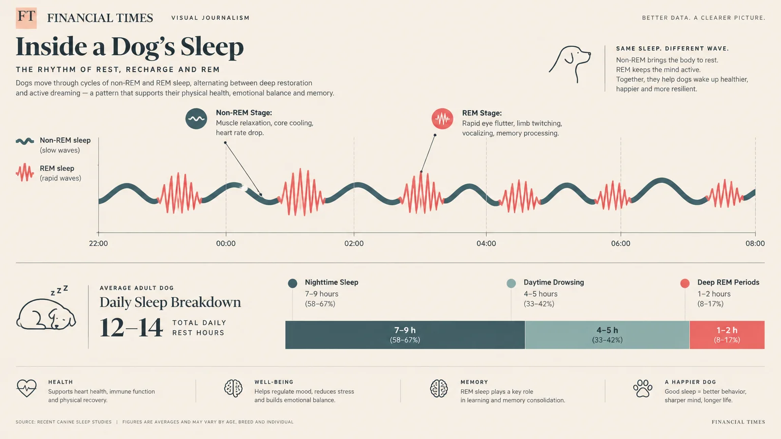 Infographic titled Inside a Dog's Sleep showing sleep cycle waveforms and a daily rest breakdown bar chart.