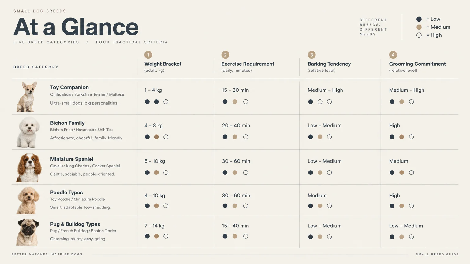 Small dog breed comparison chart detailing weight brackets, exercise requirements, barking tendencies, and grooming levels.