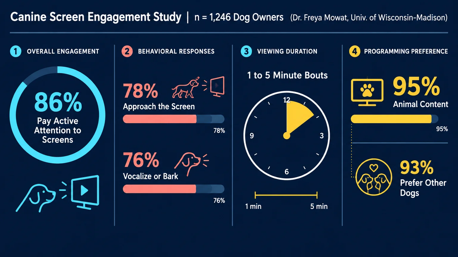 Infographic detailing canine screen engagement study statistics on attention, behaviors, viewing duration, and preferences.