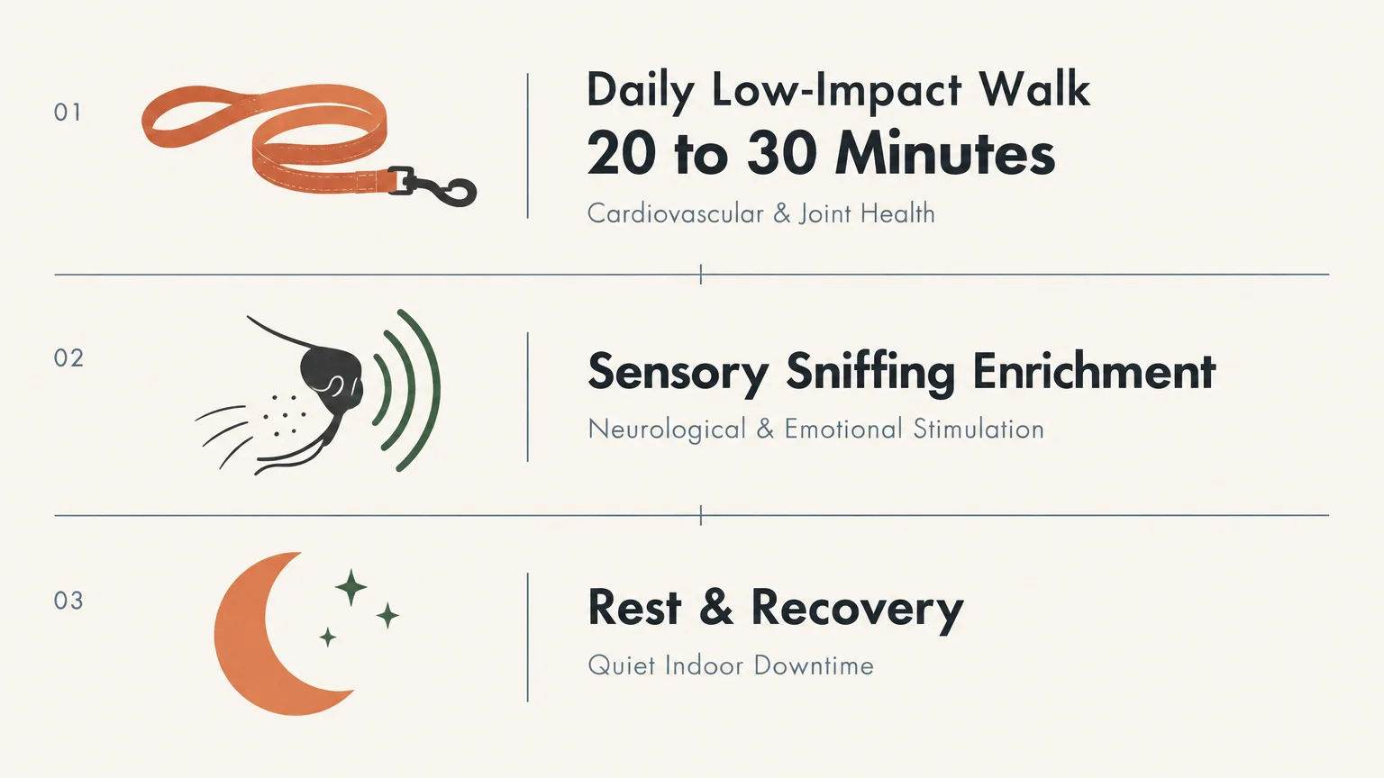 Diagram outlining three canine wellness steps: daily 20 to 30-minute walks, sensory sniffing enrichment, and rest.