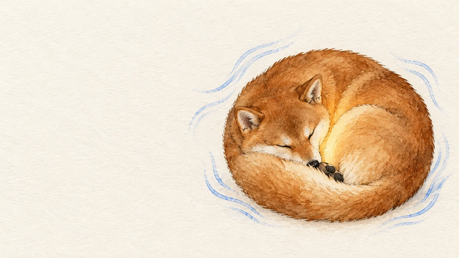 Watercolor illustration of a fluffy reddish-brown dog curled tightly into a circle with blue wind lines around it.